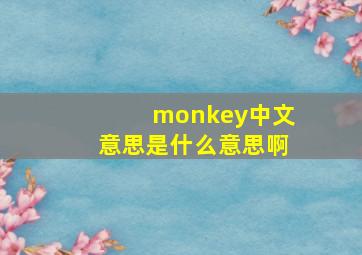 monkey中文意思是什么意思啊