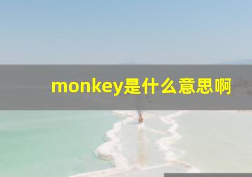 monkey是什么意思啊