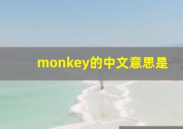 monkey的中文意思是