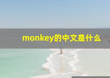 monkey的中文是什么