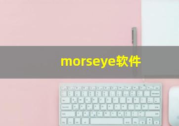 morseye软件