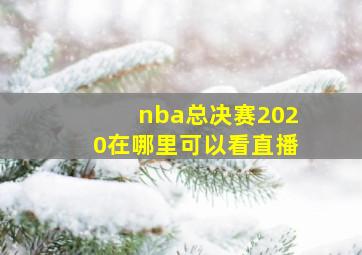 nba总决赛2020在哪里可以看直播