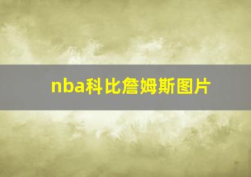 nba科比詹姆斯图片