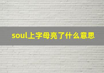 soul上字母亮了什么意思