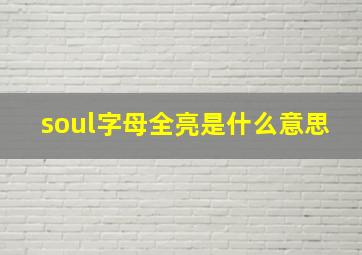 soul字母全亮是什么意思