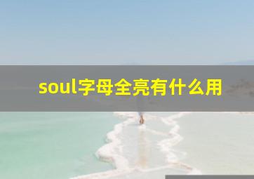 soul字母全亮有什么用