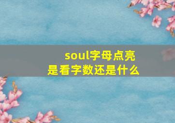 soul字母点亮是看字数还是什么