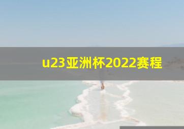 u23亚洲杯2022赛程