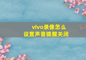 vivo录像怎么设置声音提醒关闭