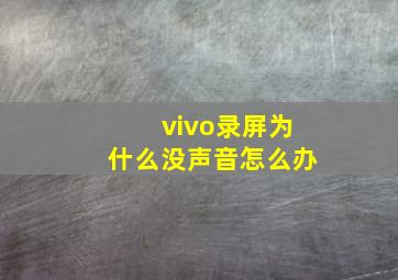 vivo录屏为什么没声音怎么办