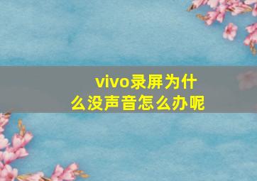 vivo录屏为什么没声音怎么办呢