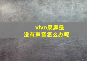 vivo录屏是没有声音怎么办呢