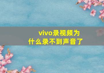 vivo录视频为什么录不到声音了