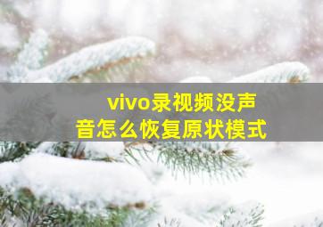 vivo录视频没声音怎么恢复原状模式