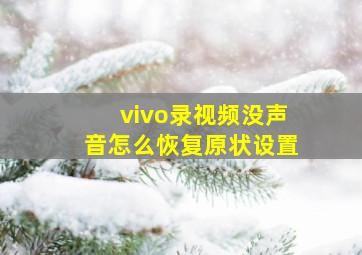 vivo录视频没声音怎么恢复原状设置