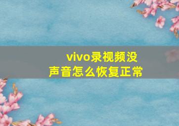 vivo录视频没声音怎么恢复正常