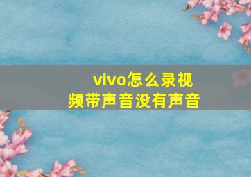 vivo怎么录视频带声音没有声音