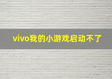 vivo我的小游戏启动不了