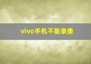 vivo手机不能录像