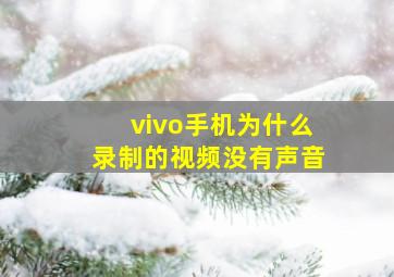 vivo手机为什么录制的视频没有声音