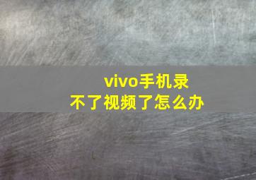 vivo手机录不了视频了怎么办