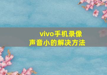 vivo手机录像声音小的解决方法