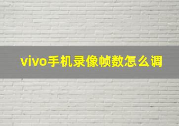 vivo手机录像帧数怎么调