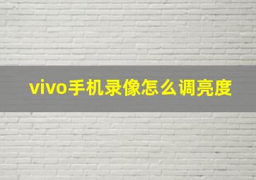 vivo手机录像怎么调亮度