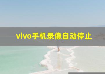 vivo手机录像自动停止