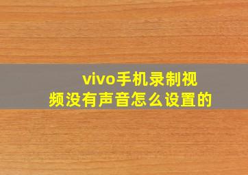 vivo手机录制视频没有声音怎么设置的