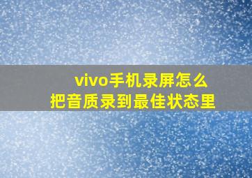 vivo手机录屏怎么把音质录到最佳状态里