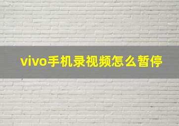 vivo手机录视频怎么暂停