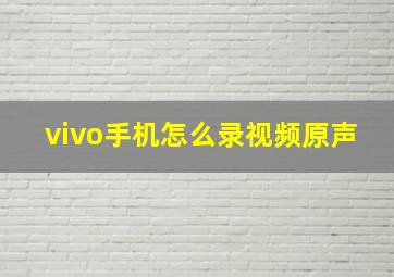 vivo手机怎么录视频原声