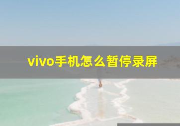 vivo手机怎么暂停录屏