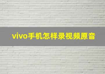 vivo手机怎样录视频原音