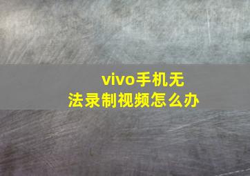 vivo手机无法录制视频怎么办