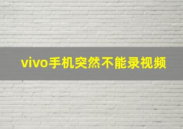 vivo手机突然不能录视频