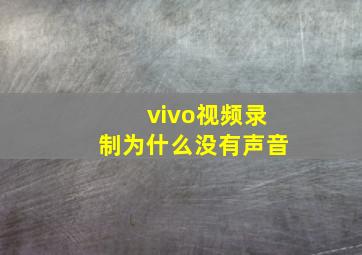 vivo视频录制为什么没有声音