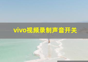 vivo视频录制声音开关