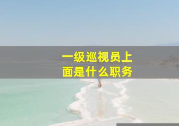 一级巡视员上面是什么职务