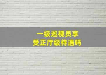 一级巡视员享受正厅级待遇吗