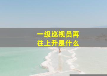 一级巡视员再往上升是什么