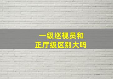 一级巡视员和正厅级区别大吗