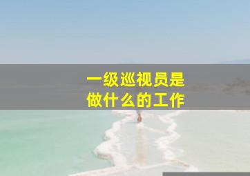 一级巡视员是做什么的工作