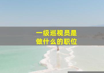 一级巡视员是做什么的职位