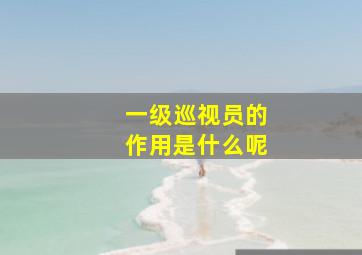 一级巡视员的作用是什么呢