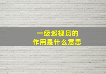 一级巡视员的作用是什么意思