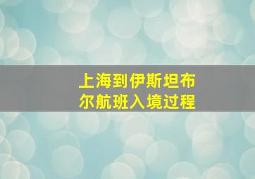 上海到伊斯坦布尔航班入境过程