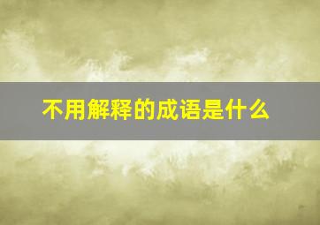 不用解释的成语是什么