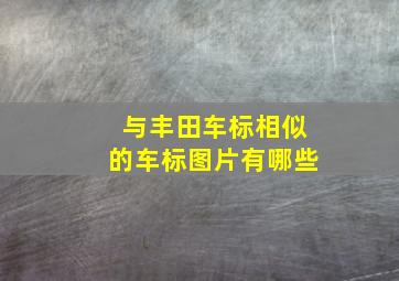 与丰田车标相似的车标图片有哪些